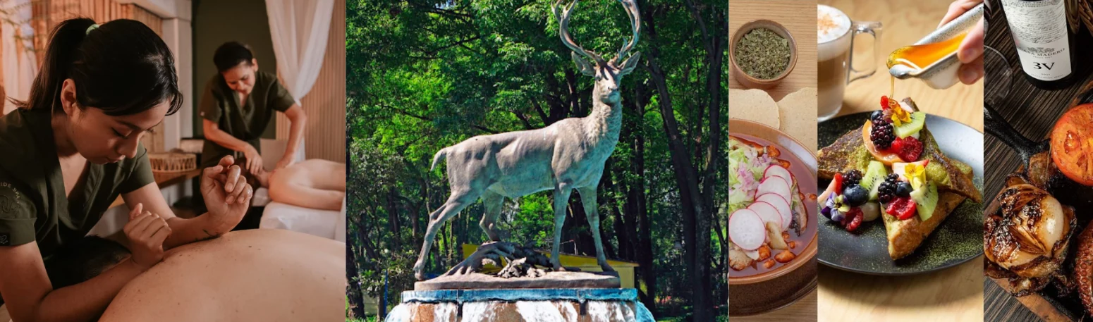 Escenas del entorno de Del Valle Norte: spa y bienestar, monumento del venado en un parque cercano, y gastronomía de barrio